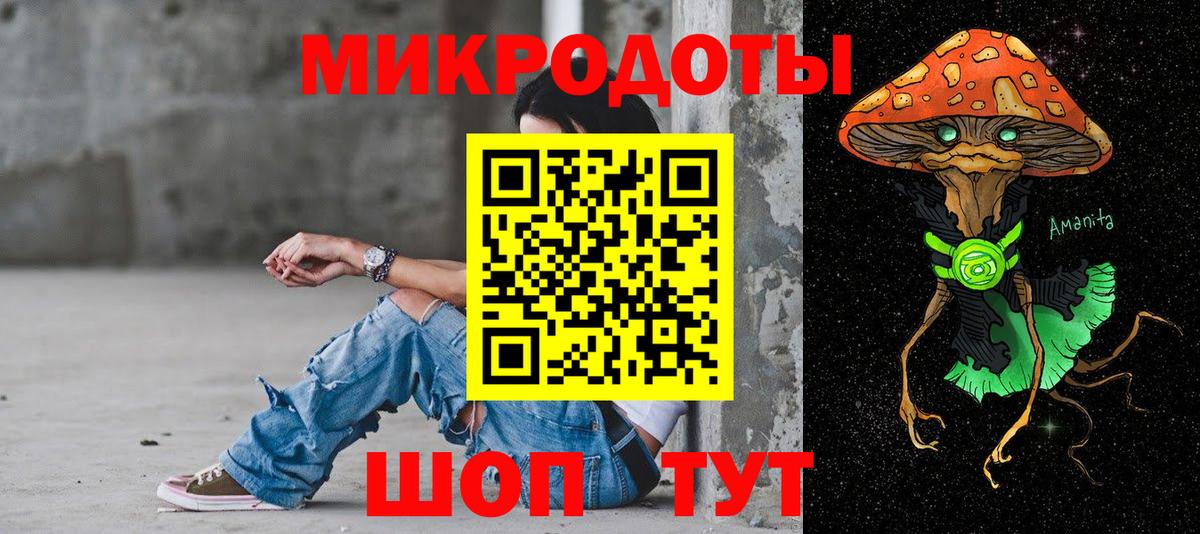 Галлюциногенные грибы Cubensis Дмитров