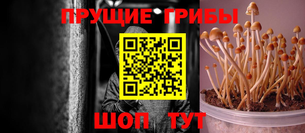 Дмитров  Галлюциногенные грибы ЛСД  Вход с VPN 
