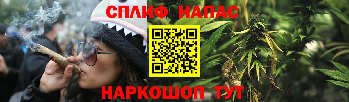 Шишки марихуана марихуана Дмитров